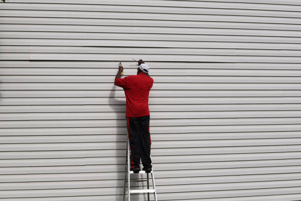 Best Siding for Commercial Buildings  in Guttenberg, IA