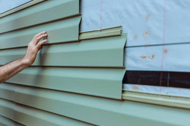 Best Custom Siding Design  in Guttenberg, IA
